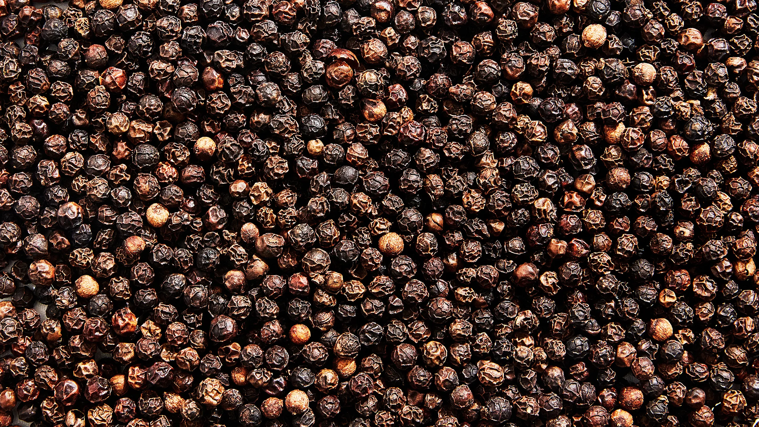 Spice 3
